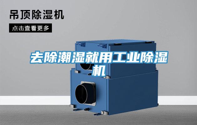 去除潮濕就用工業草莓视频污污污污
