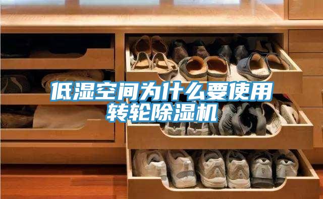 低濕空間為什麽要使用轉輪草莓视频污污污污