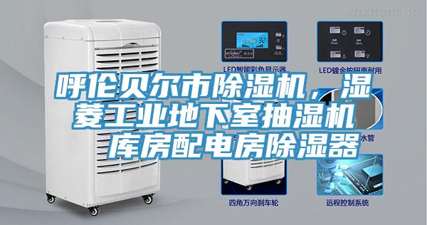 呼倫貝爾市草莓视频污污污污，濕菱工業地下室抽濕機  庫房配電房除濕器
