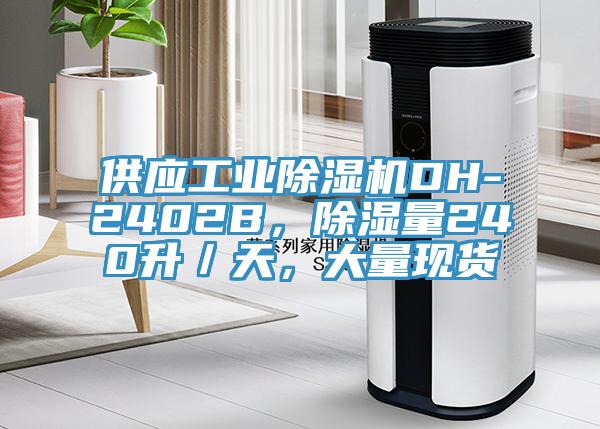供應工業草莓视频污污污污DH-2402B，除濕量240升／天，大量現貨