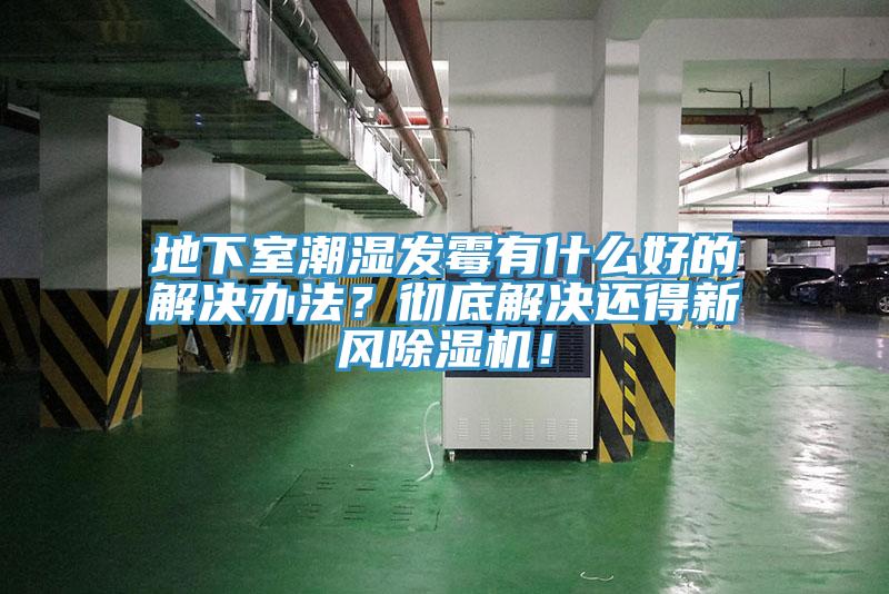 地下室潮濕發黴有什麽好的解決辦法？徹底解決還得新風草莓视频污污污污！