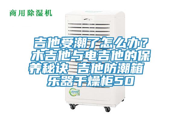 吉他受潮了怎麽辦？木吉他與電吉他的保養秘訣 吉他防潮箱 樂器幹燥櫃50