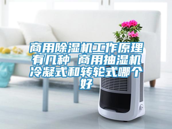 商用草莓视频污污污污工作原理有幾種 商用抽濕機冷凝式和轉輪式哪個好
