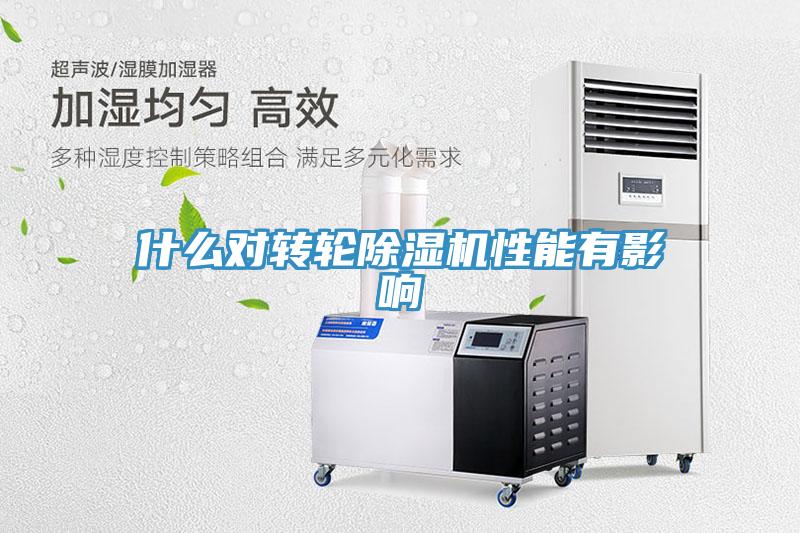 什麽對轉輪草莓视频污污污污性能有影響