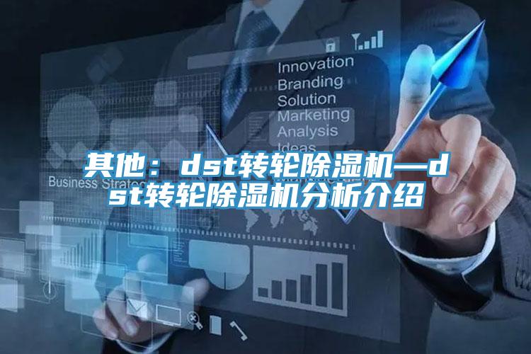 其他：dst轉輪草莓视频污污污污—dst轉輪草莓视频污污污污分析介紹