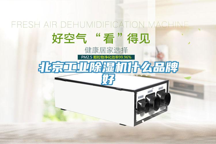 北京工業草莓视频污污污污什麽品牌好