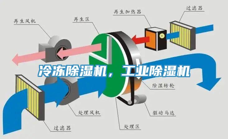 冷凍草莓视频污污污污，工業草莓视频污污污污
