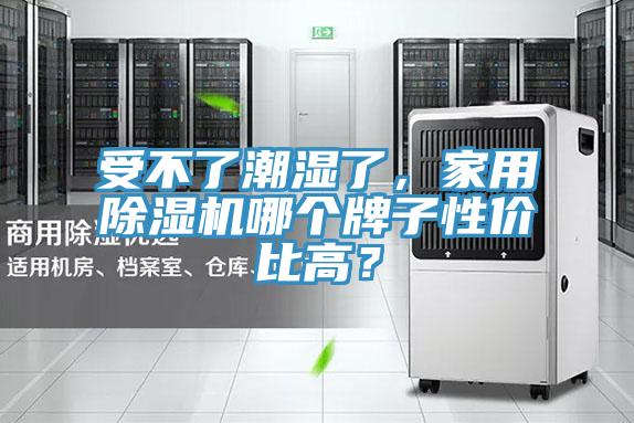 受不了潮濕了，家用草莓视频污污污污哪個牌子性價比高？