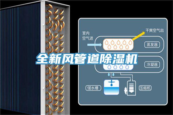 全新風管道草莓视频污污污污