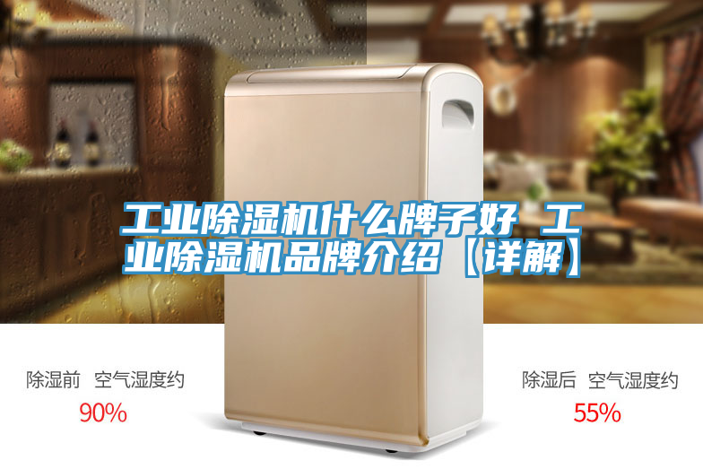 工業草莓视频污污污污什麽牌子好 工業草莓视频污污污污品牌介紹【詳解】