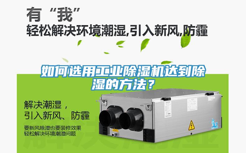 如何選用工業草莓视频污污污污達到除濕的方法？