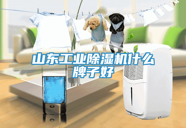 山東工業草莓视频污污污污什麽牌子好