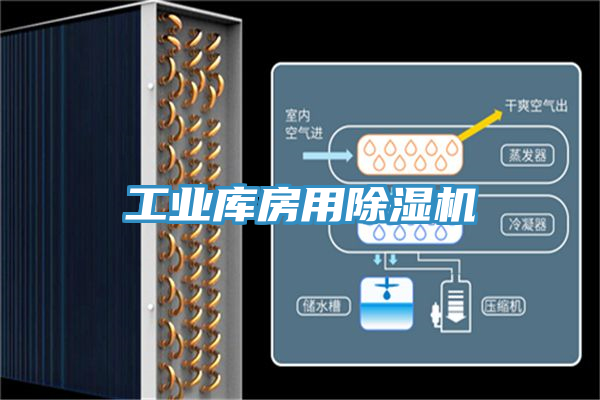 工業庫房用草莓视频污污污污