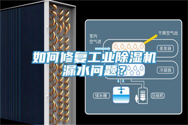 如何修複工業草莓视频污污污污漏水問題？
