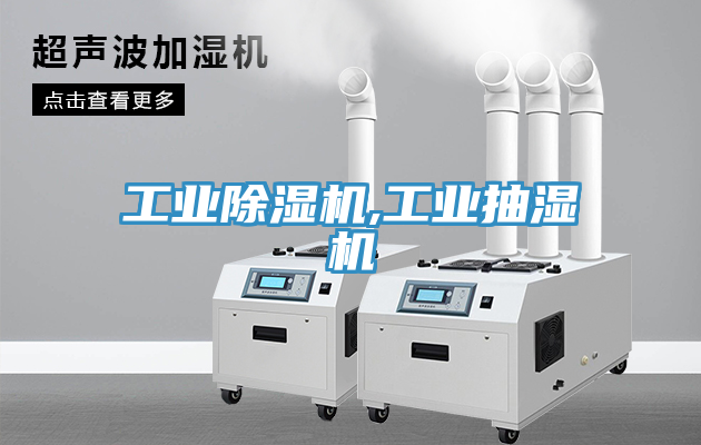 工業草莓视频污污污污,工業抽濕機