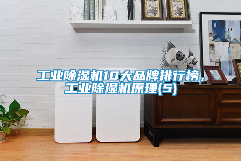 工業草莓视频污污污污10大品牌排行榜，工業草莓视频污污污污原理(5)