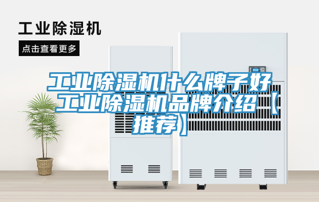 工業草莓视频污污污污什麽牌子好 工業草莓视频污污污污品牌介紹【推薦】