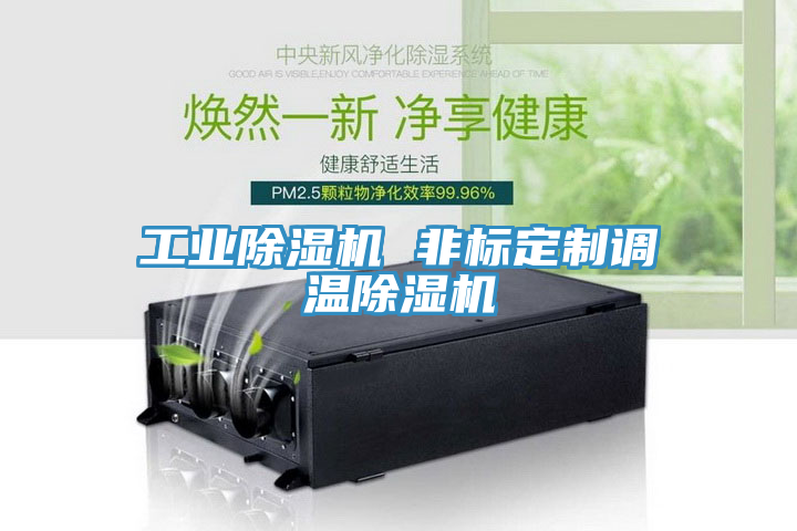 工業草莓视频污污污污 非標定製調溫草莓视频污污污污