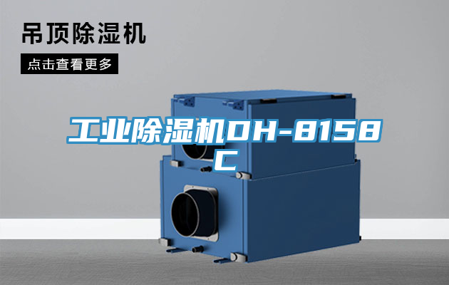工業草莓视频污污污污DH-8158C