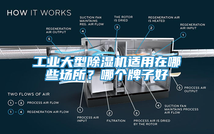 工業大型草莓视频污污污污適用在哪些場所？哪個牌子好