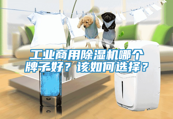 工業商用草莓视频污污污污哪個牌子好？該如何選擇？