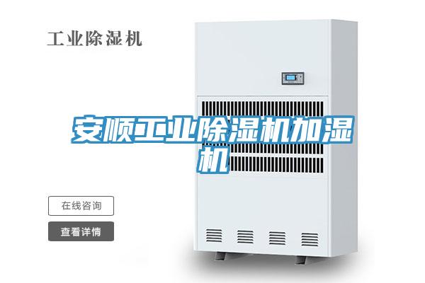 安順工業草莓视频污污污污加濕機