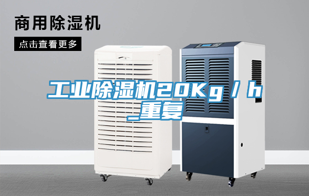 工業草莓视频污污污污20Kg／h_重複