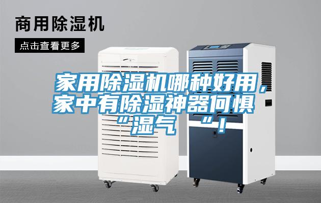 家用草莓视频污污污污哪種好用，家中有除濕神器何懼 “濕氣 “！