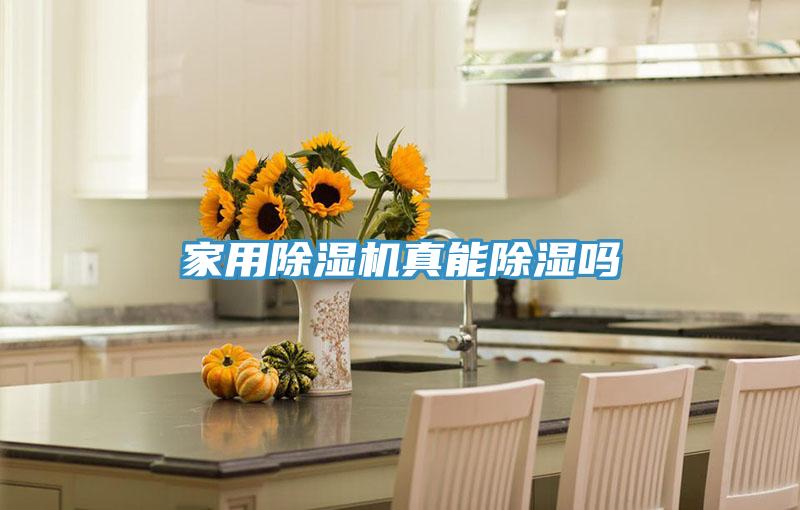 家用草莓视频污污污污真能除濕嗎