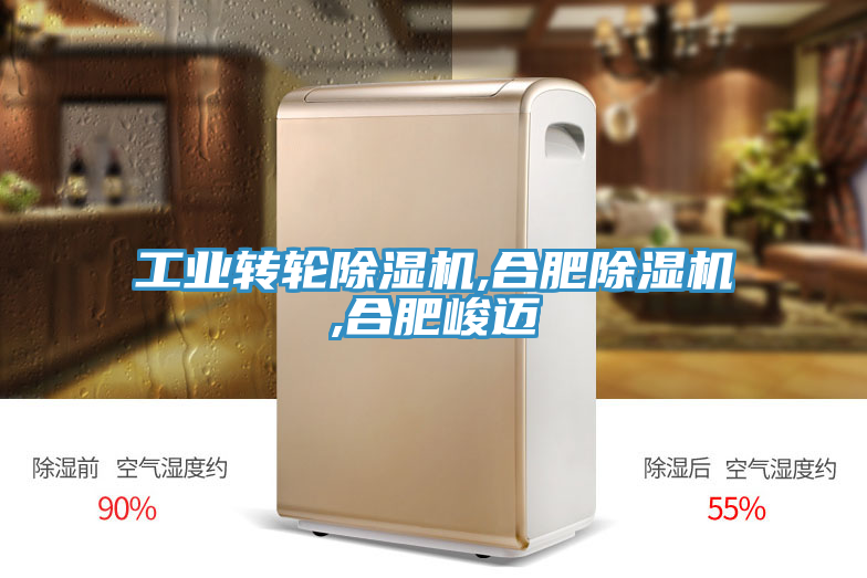 工業轉輪草莓视频污污污污,合肥草莓视频污污污污,合肥峻邁
