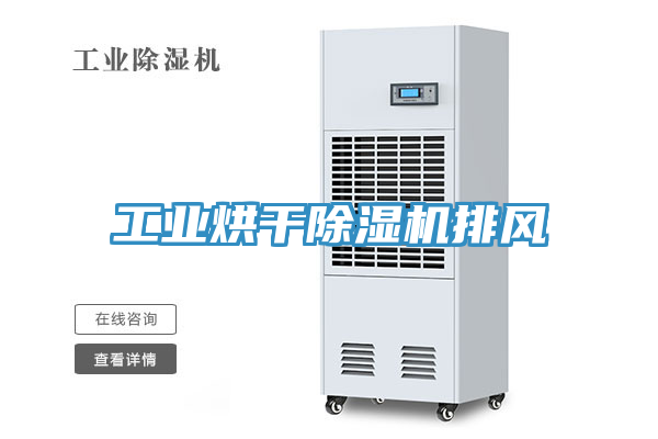 工業烘幹草莓视频污污污污排風