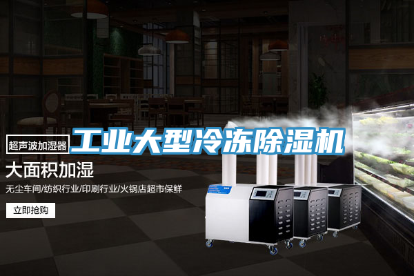 工業大型冷凍草莓视频污污污污