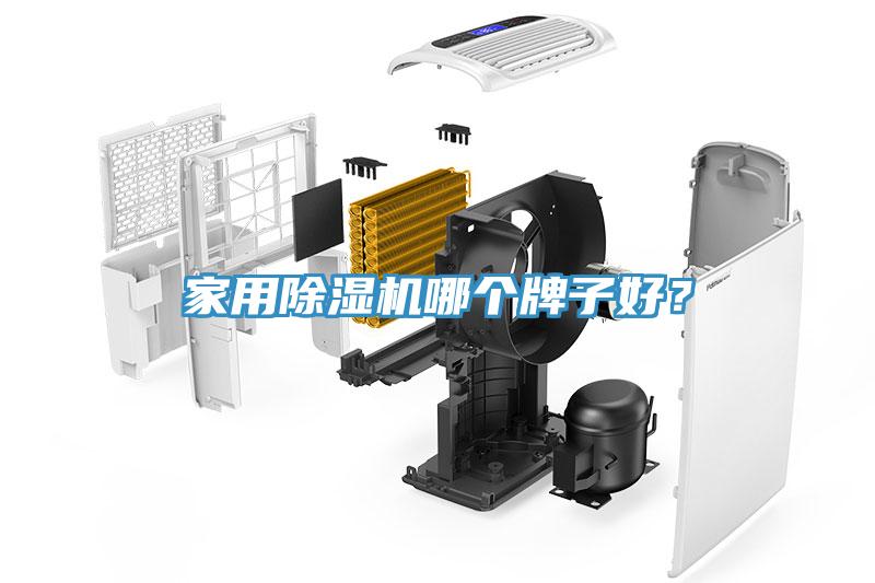 家用草莓视频污污污污哪個牌子好？