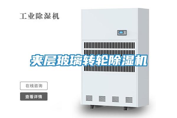 夾層玻璃轉輪草莓视频污污污污