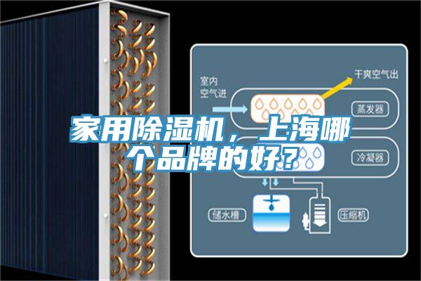 家用草莓视频污污污污，上海哪個品牌的好？