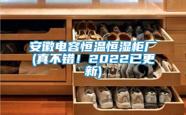 安徽電容恒溫恒濕櫃廠(真不錯！2022已更新)