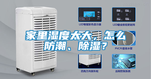 家裏濕度太大，怎麽防潮、除濕？