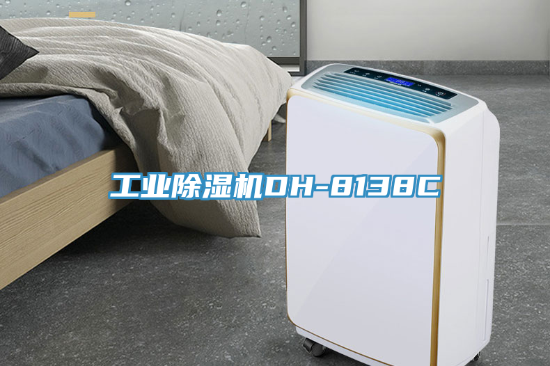 工業草莓视频污污污污DH-8138C