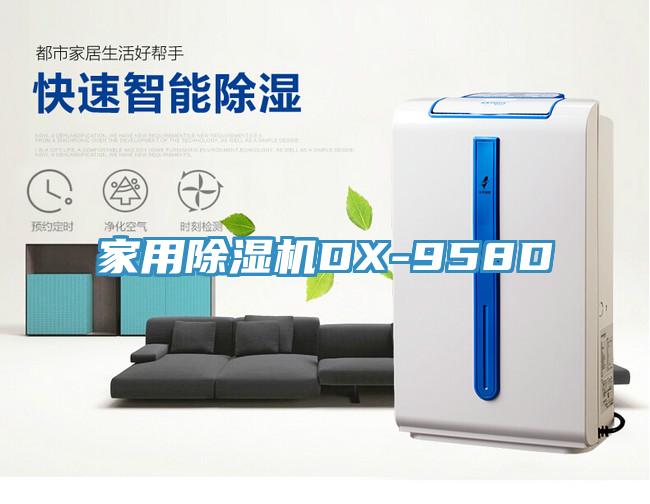 家用草莓视频污污污污DX-958D