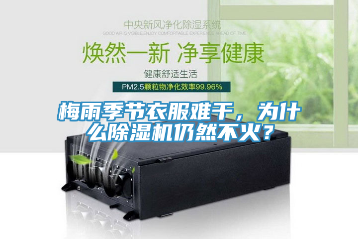 梅雨季節衣服難幹，為什麽草莓视频污污污污仍然不火？