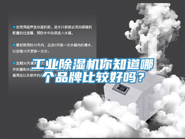工業草莓视频污污污污你知道哪個品牌比較好嗎？