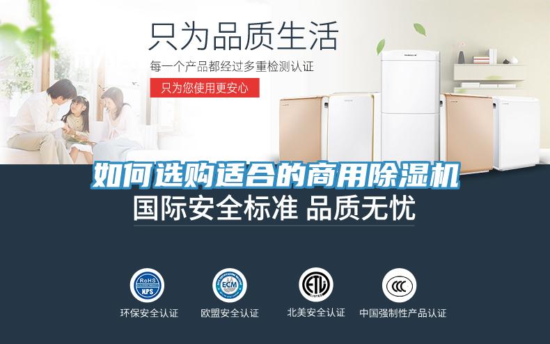 如何選購適合的商用草莓视频污污污污
