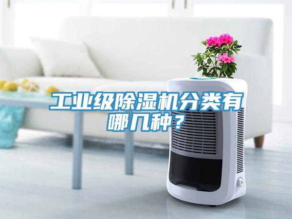 工業級草莓视频污污污污分類有哪幾種？