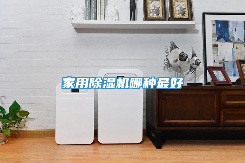 家用草莓视频污污污污哪種最好
