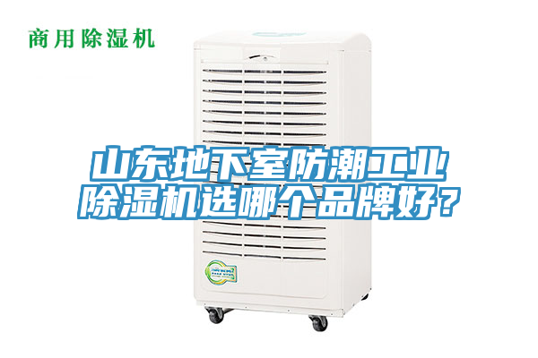 山東地下室防潮工業草莓视频污污污污選哪個品牌好？