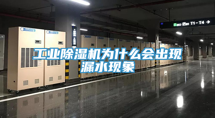 工業草莓视频污污污污為什麽會出現漏水現象