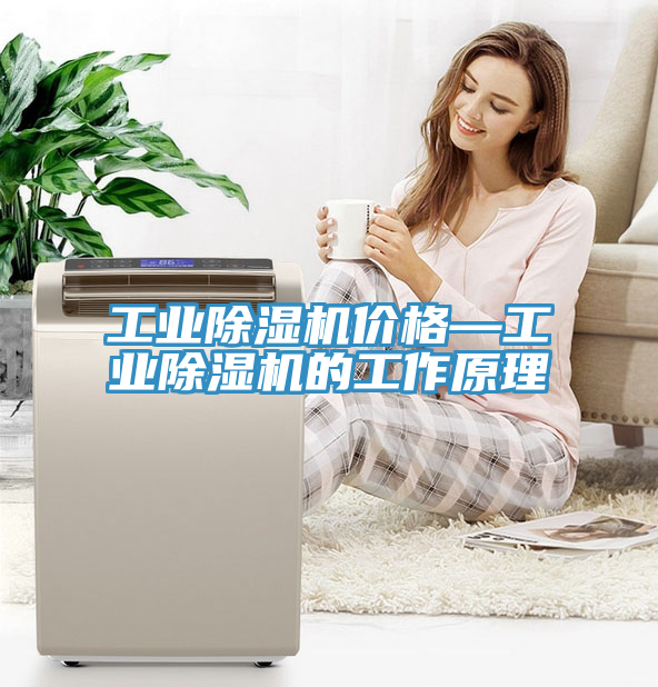 工業草莓视频污污污污價格—工業草莓视频污污污污的工作原理