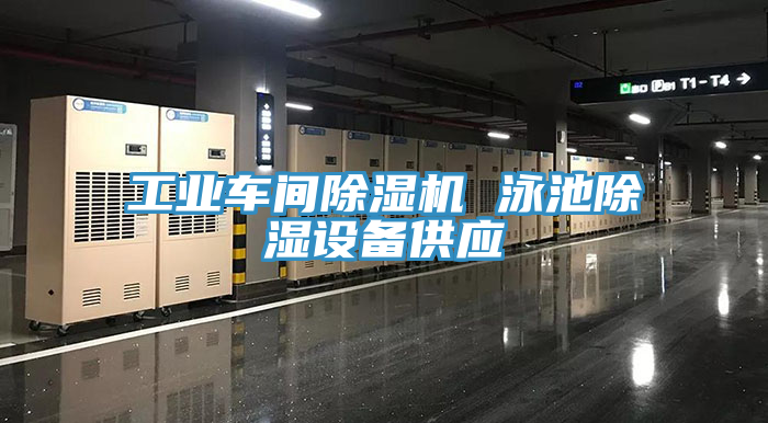 工業車間草莓视频污污污污 泳池除濕設備供應