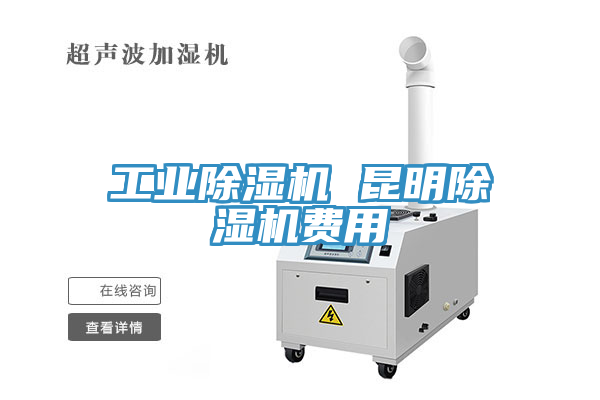 工業草莓视频污污污污 昆明草莓视频污污污污費用