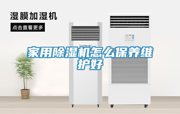 家用草莓视频污污污污怎麽保養維護好